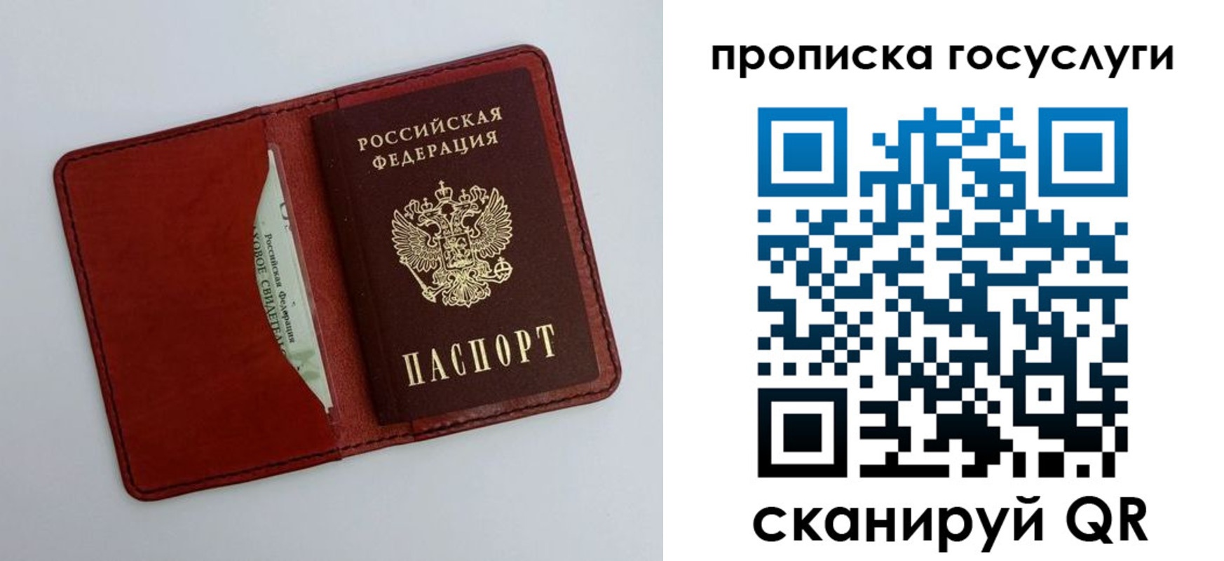 прописка паспорт в Мурманске